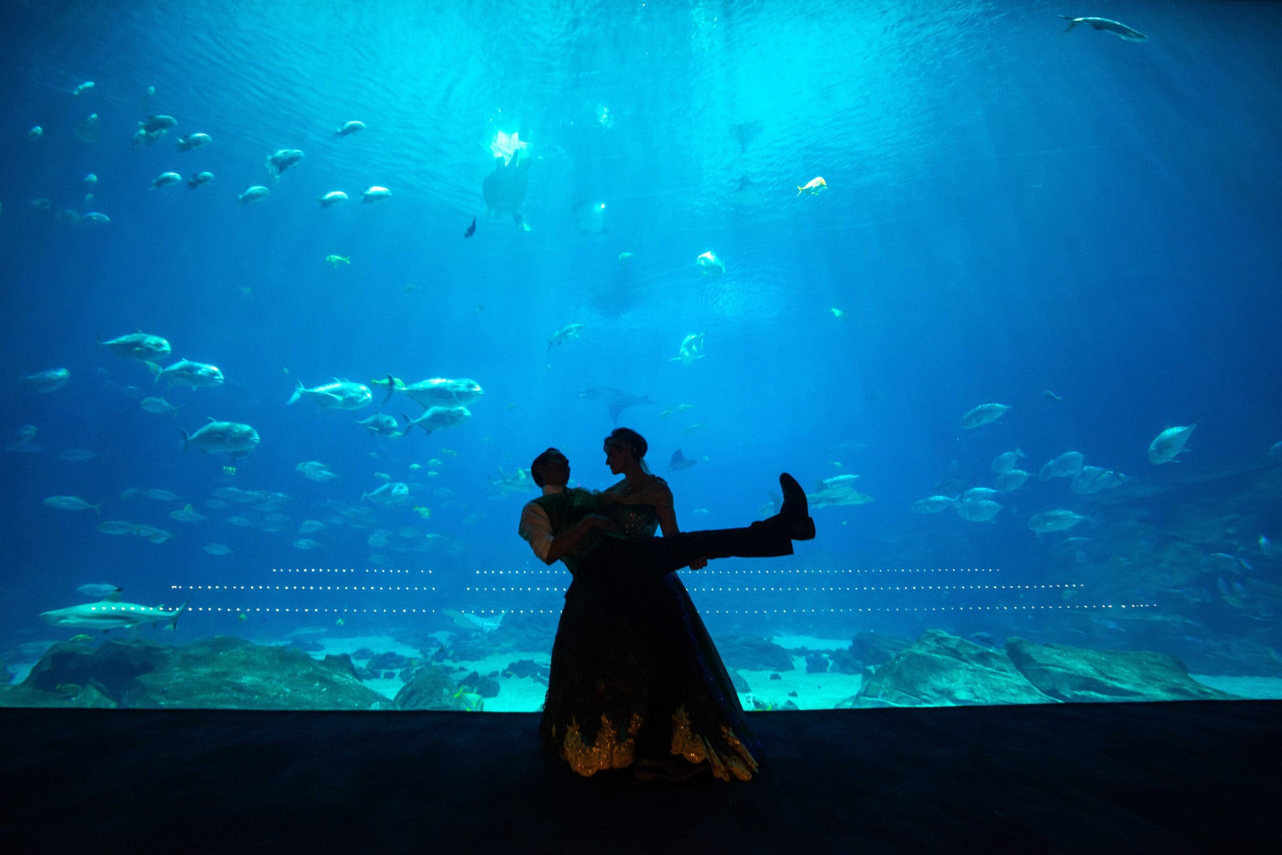 Aquarium wedding in Atlanta, Georgia